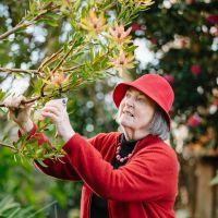 Margriet 2018 pruning John Shen.JPG